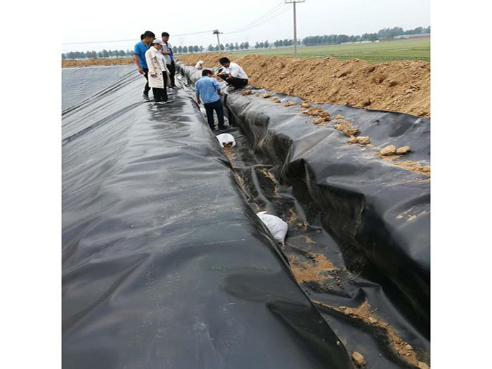 农业种植蓄水池防渗膜