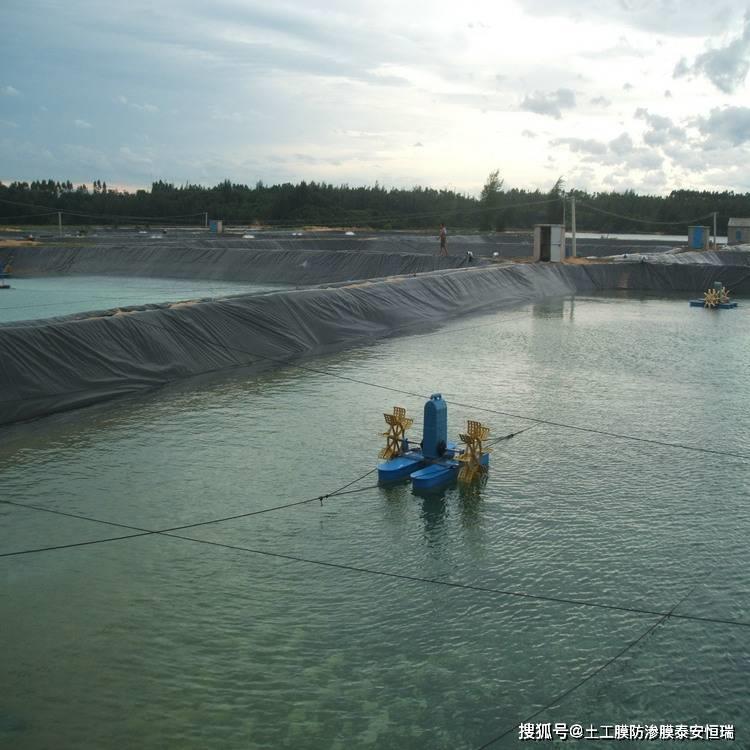 养殖土工膜实拍图1_厂家鸿跃环保