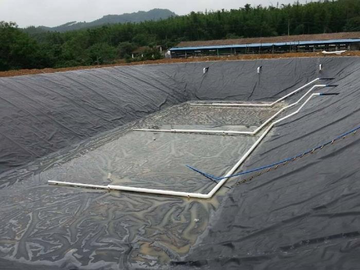 养殖土工膜实拍图3_厂家鸿跃环保