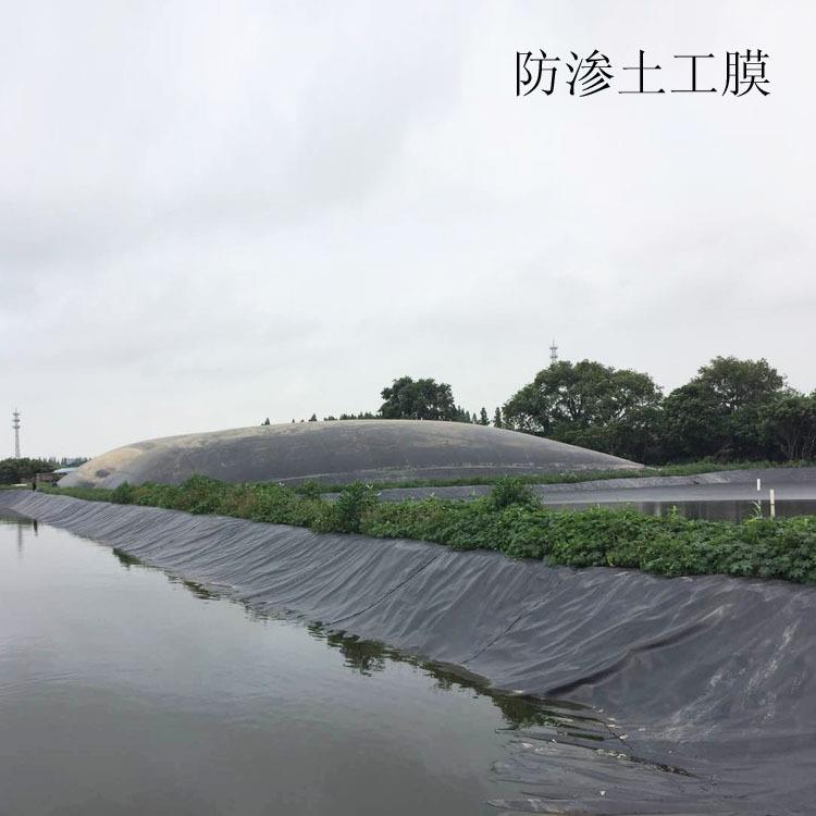 养殖土工膜实拍图10_厂家鸿跃环保