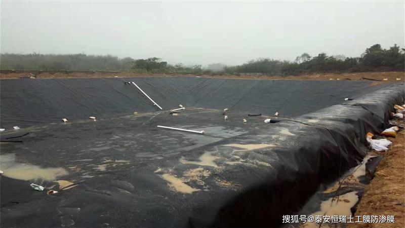 养殖土工膜实拍图22_厂家鸿跃环保