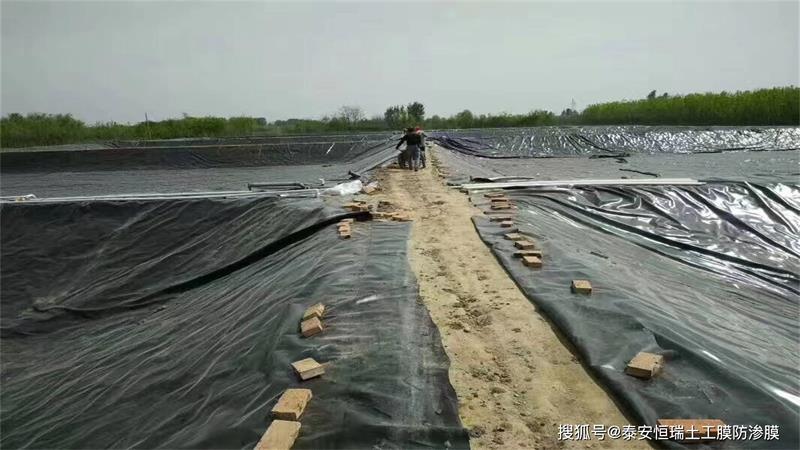沼气池黑膜实拍图18_厂家鸿跃环保