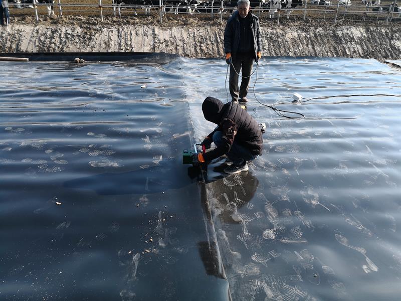 鱼塘土工膜实拍图4_厂家鸿跃环保