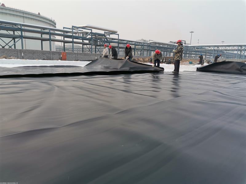 糙面土工膜实拍图7_厂家鸿跃环保