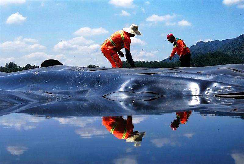 垃圾填埋场土工膜实拍图23_厂家鸿跃环保