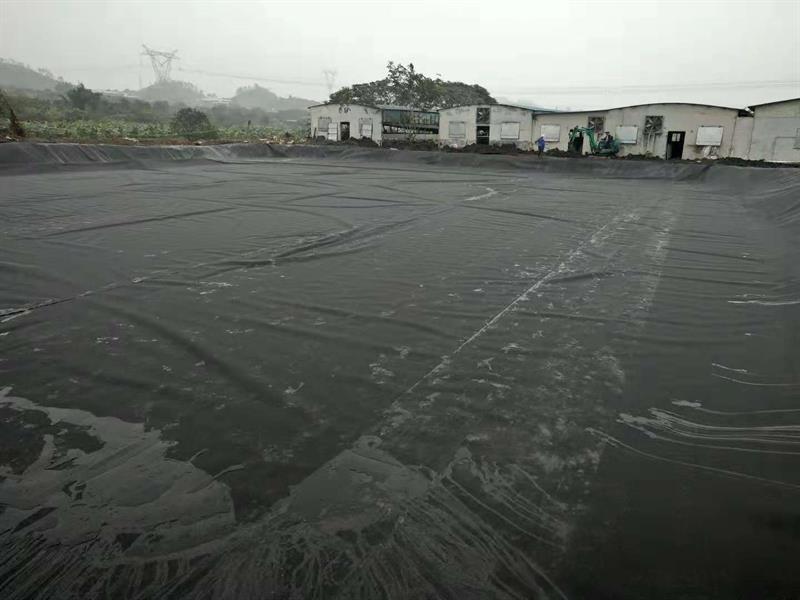 蓄水池土工膜实拍图1_厂家鸿跃环保