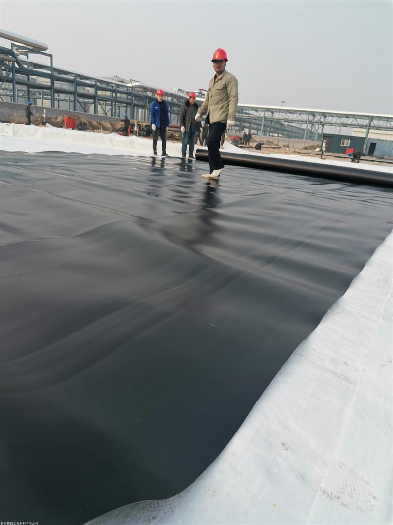 尾矿库土工膜实拍图10_厂家鸿跃环保