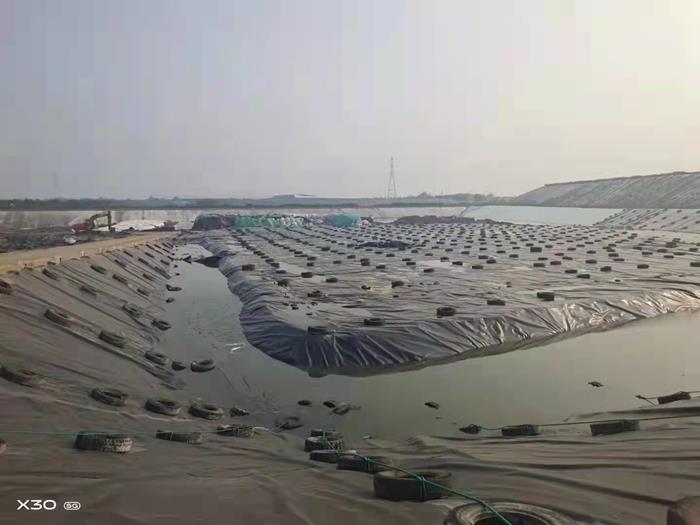 防水土工膜实拍图2_厂家鸿跃环保