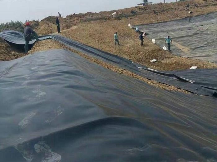 防水土工膜实拍图10_厂家鸿跃环保